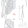 RP Phy - Image 3
