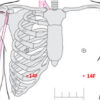 Foie Psy - Image 4