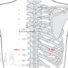 Foie Psy - Image 2